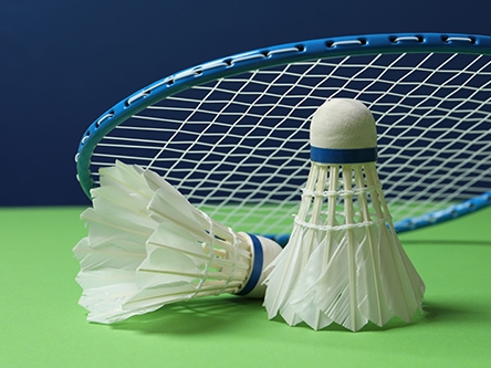 Volants de badminton en plumes blanches et raquette bleue sur fond vert
